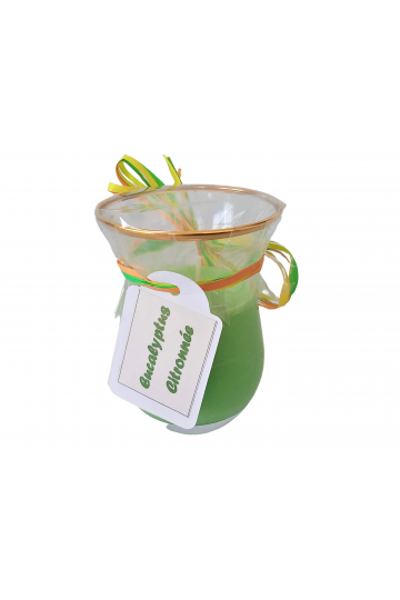 BOUGIE MOUSS'ECRAN A L' EUCALYPTUS CITRONNÉE - POT DE 100 gr