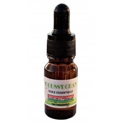 HUILE ESSENTIELLE D'EUCALYPTUS CITRONNEE  - 10 ML