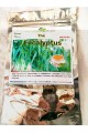 YENDOU - THES A L'EUCALYPTUS BIO -