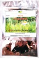 YENDOU - THES A LA CITRONNELLE BIO -
