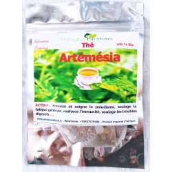 YENDOU - THE ARTEMESIA - BIO -