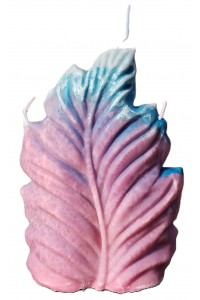 xx