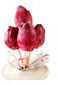 BOUGIE A THEME AUX PARFUMS DE GRASSE - DELICE GOURMAND - 100 gr.